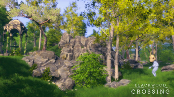 Blackwood Crossing Review – We’re All on a Journey