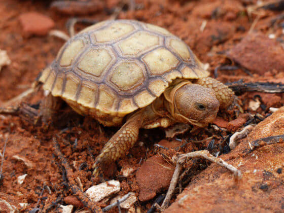 Violent Bloodbath Possibly Linked to Video Games