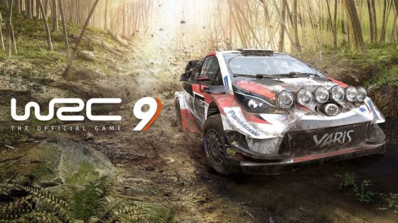 WRC 9 Review