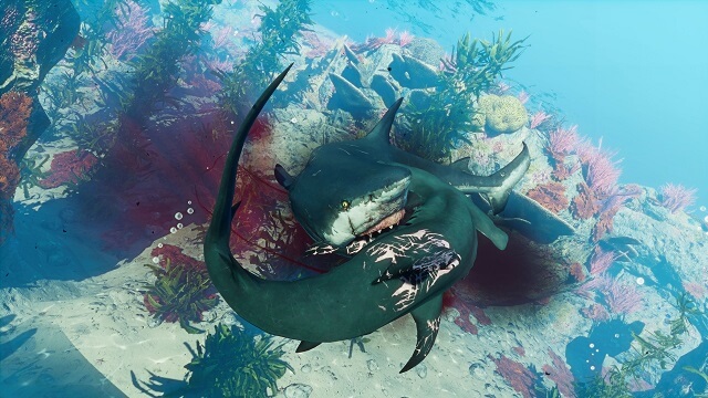 Review: Maneater (Switch) - BagoGames